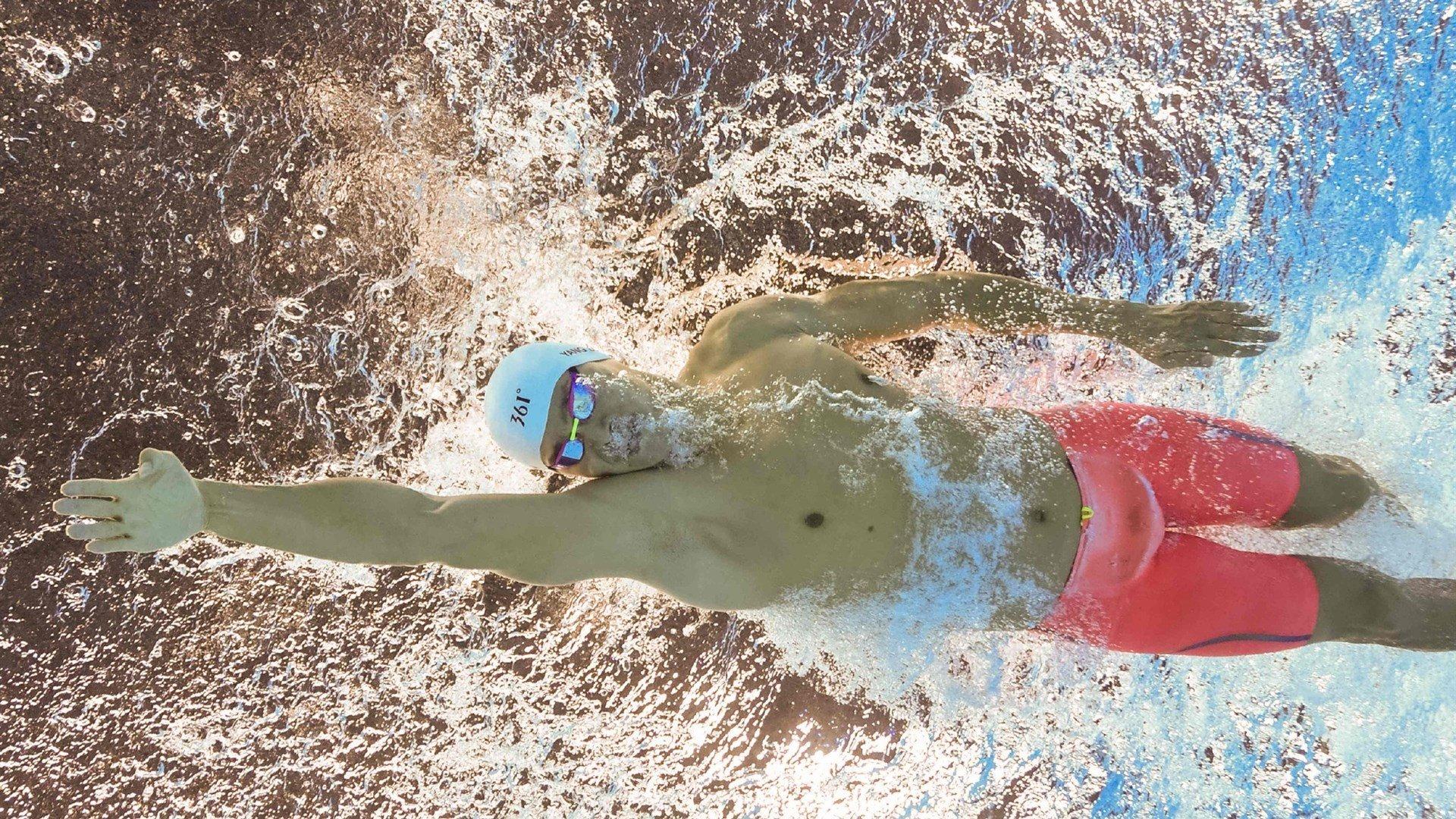 中国跳水梦之队再创辉煌，包揽世锦赛全部金牌